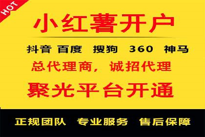 SEM主管实战：数据分析与策略调整